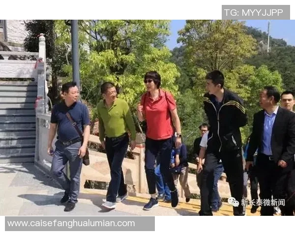 重庆排球队杯赛战术分析与表现评估探讨