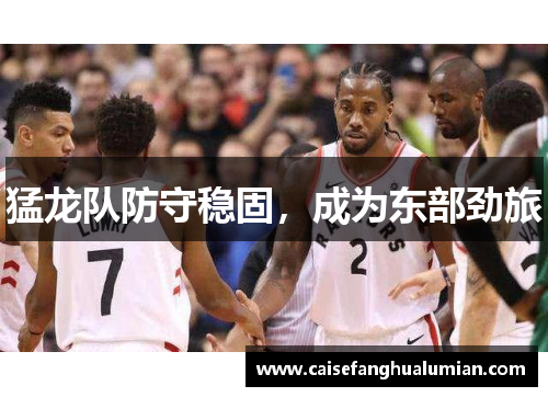 猛龙队防守稳固，成为东部劲旅