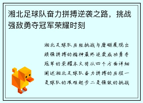 湘北足球队奋力拼搏逆袭之路，挑战强敌勇夺冠军荣耀时刻