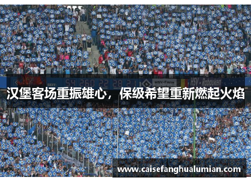 汉堡客场重振雄心，保级希望重新燃起火焰